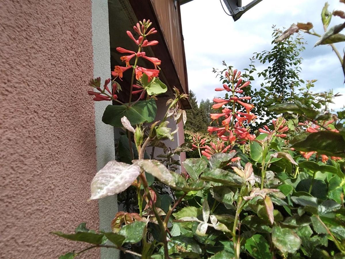 Ferienhaus Gstoderblick Seebach  ภายนอก รูปภาพ
