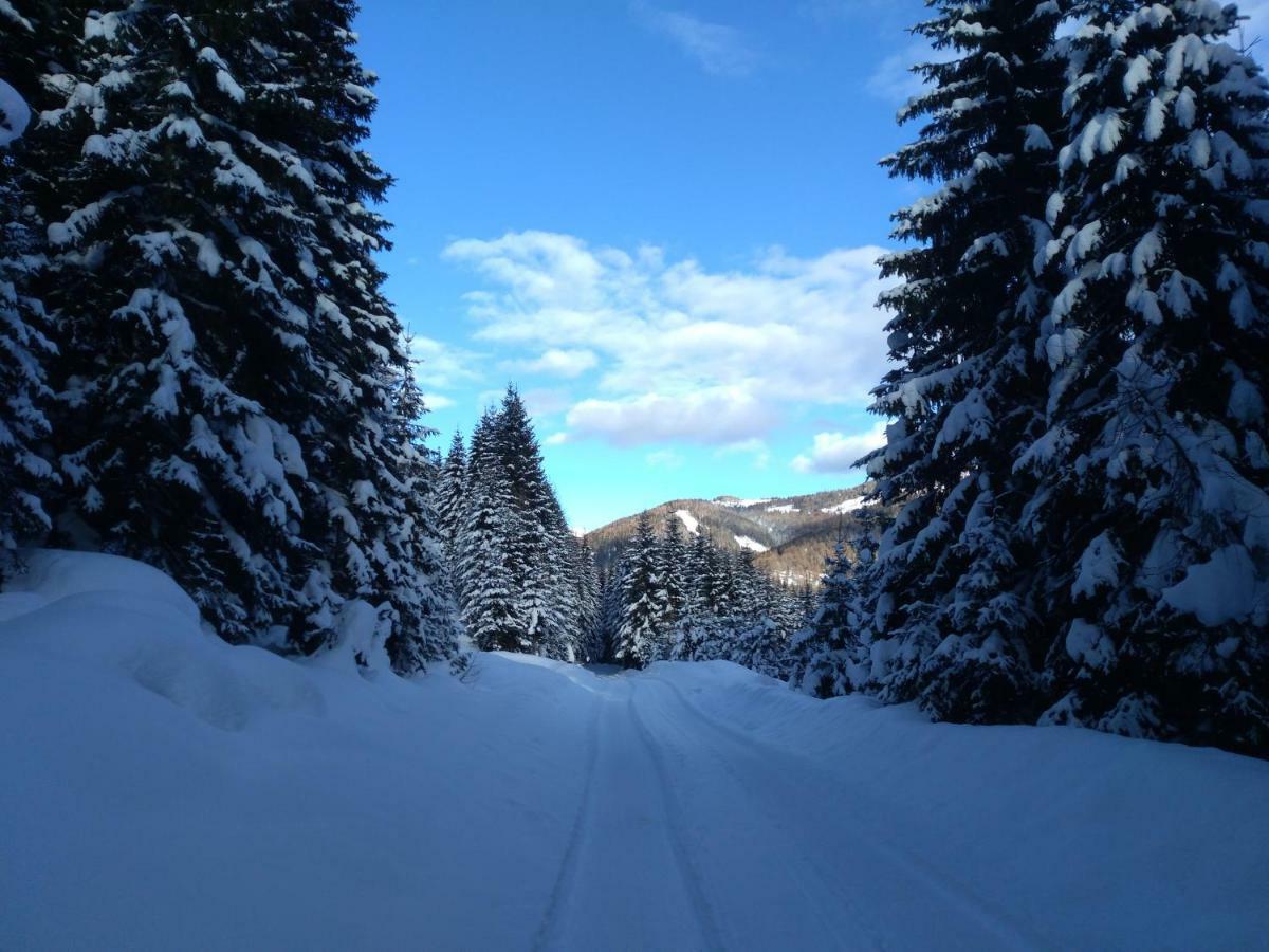 Ferienhaus Gstoderblick Seebach  ภายนอก รูปภาพ
