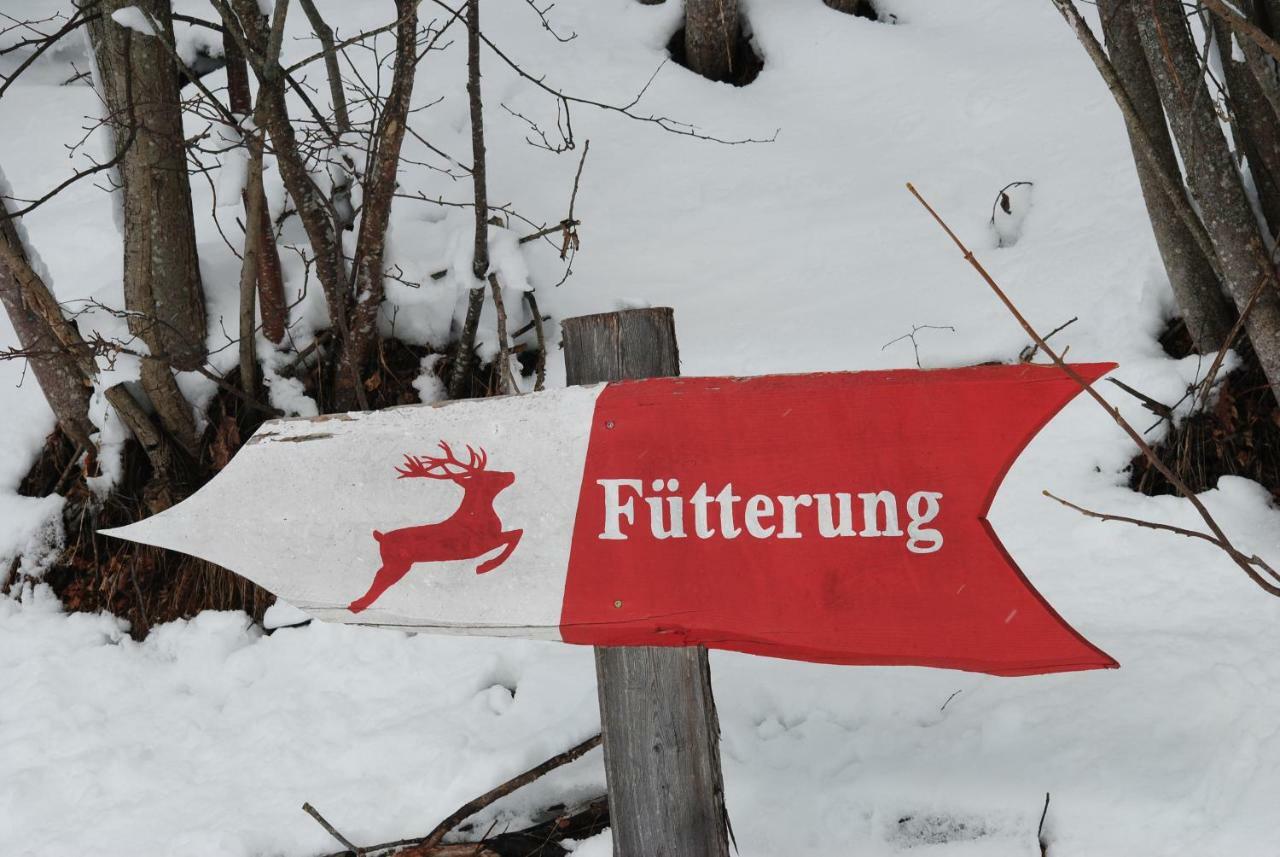 Ferienhaus Gstoderblick Seebach  ภายนอก รูปภาพ
